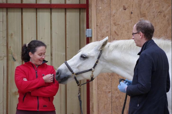 Dr Sue Binks - Client